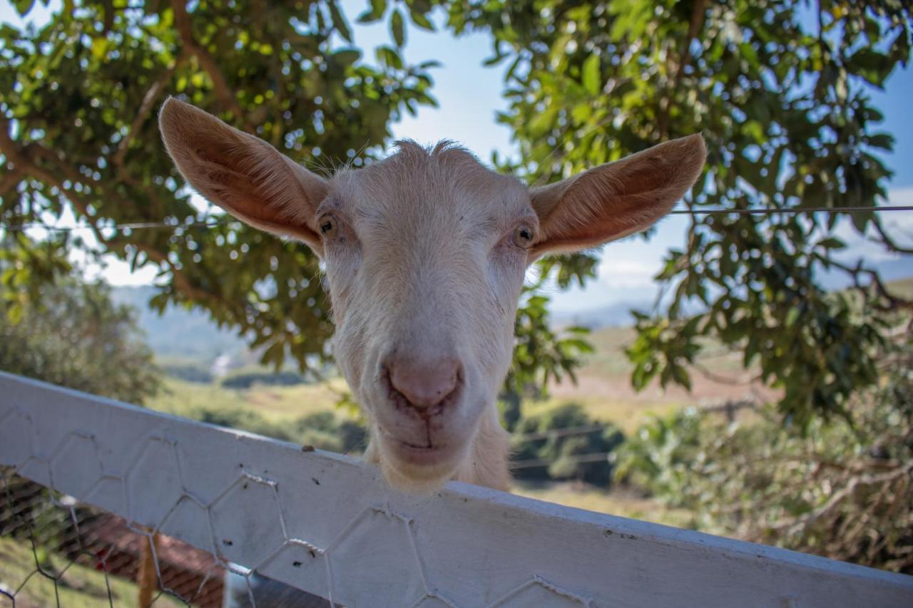 Pousada Sonho Meu ايتانهاندو المظهر الخارجي الصورة